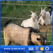 Cow Farm Guard Galvanized Cattle Fence ISO9001-2008